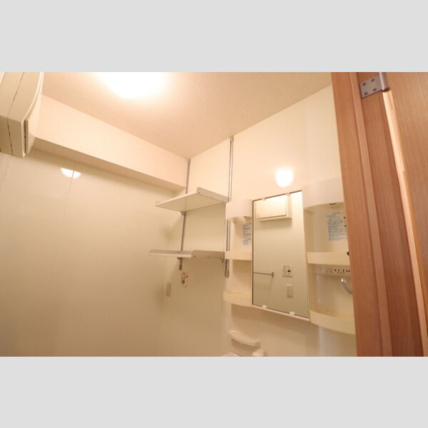 カメリア武蔵藤沢105号室 洗面室