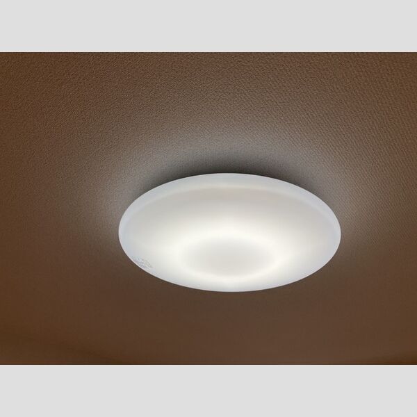 クレセント日吉台203号室 照明(全室)