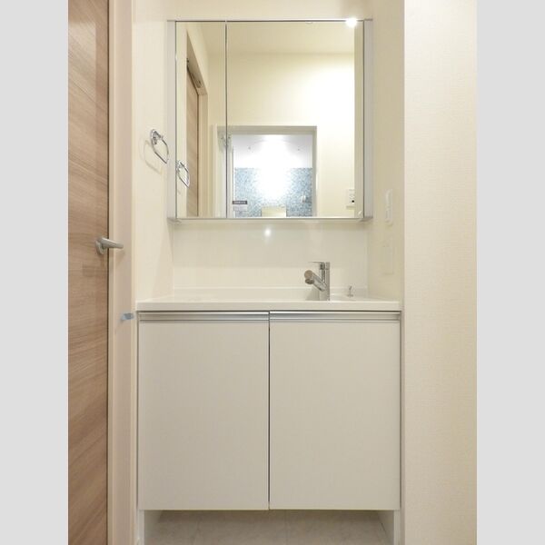 プレシャス富士見106号室 洗面