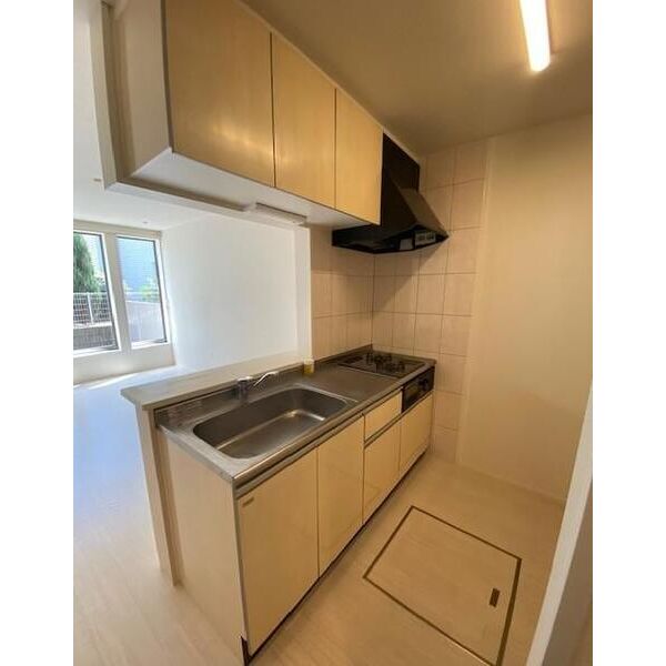 ユニヴァリィ　ノア101号室 キッチン