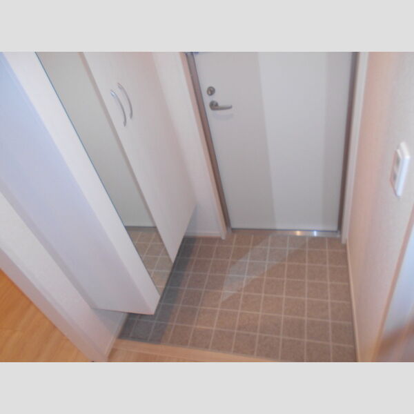 ロイジェントパークス草加手代　B306号室 玄関