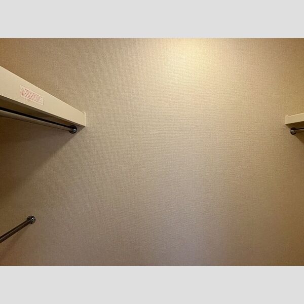 エタニティー東船橋303号室 ウォークインクローゼット