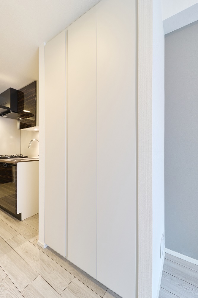 プラウドフラット虎ノ門1003号室 収納