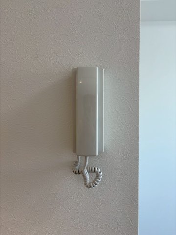 DIPS竹ノ塚駅前701号室 セキュリティ