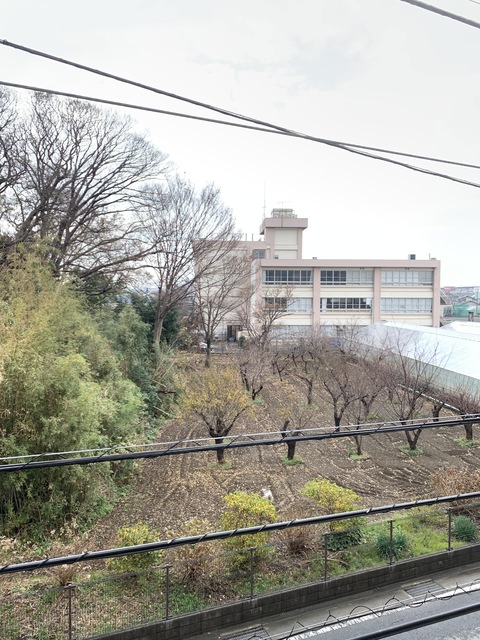 アジュール湘南0209号室 展望