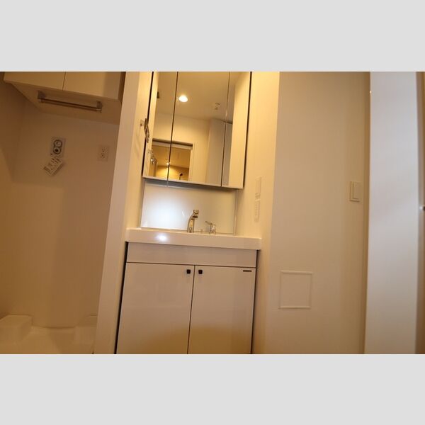 THE RejuvePort KISARAZU0801号室 洗髪洗面化粧台