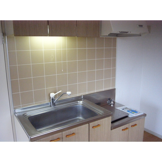 メゾンホリコシ0205号室 キッチン