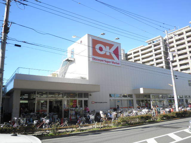 スカイフィールドⅡ0303号室 オーケーディスカウント