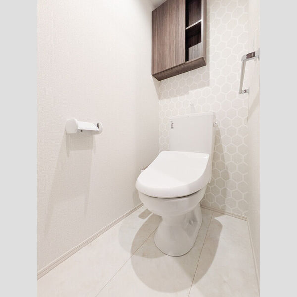 エスペリア相模が丘5丁目101号室 トイレ