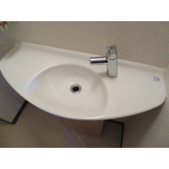 ルビナス・ウエストパレス0303号室 洗面台