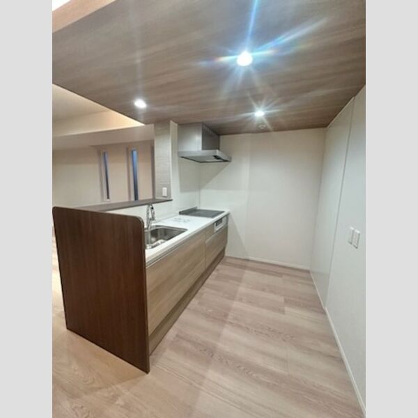 センカⅢ307号室 システムキッチン