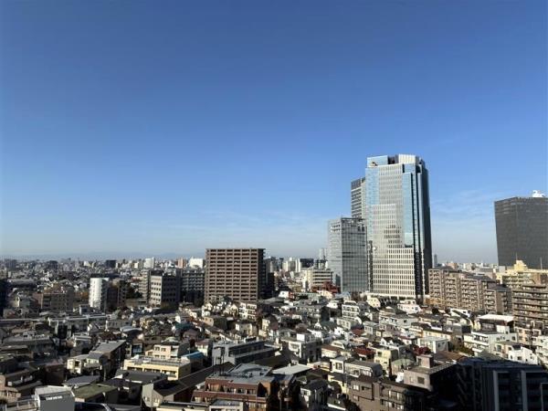 ザ・パークハウス西新宿タワー６０13階 部屋その他