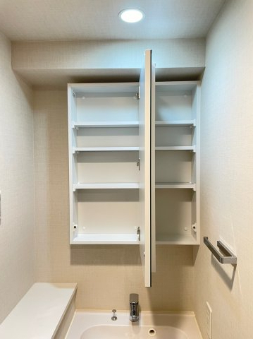 DIPS上板橋211号室 洗面