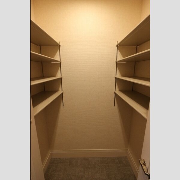 トワ・グレース柏の葉106号室 ウォークインクローク