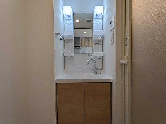 ハーモニーレジデンス蒲田アートヴィラ0102号室 洗面