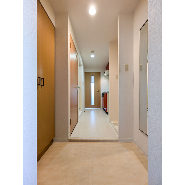 N-Flats東大井1002号室 玄関