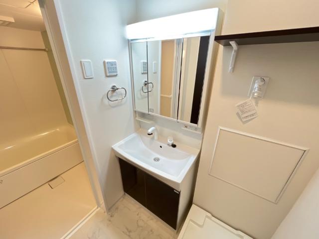 ＧＲＥＥＮ　ＳＯＲＲＥＬ　Ⅰ(グリーン　ソレル　ワン) 洗髪洗面化粧台