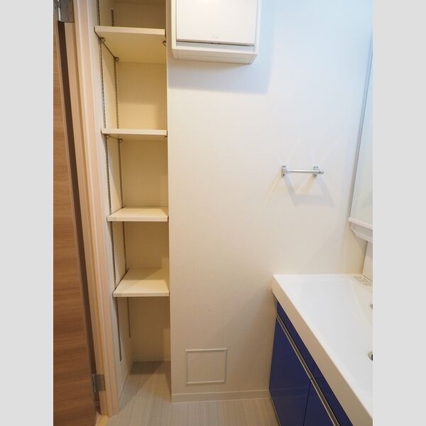 ロイジェントパークス千葉中央0908号室 洗面室収納