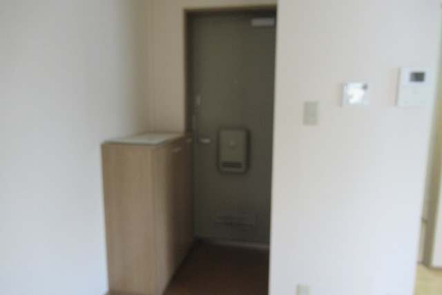 シャーロックホームズ横浜0205号室 玄関