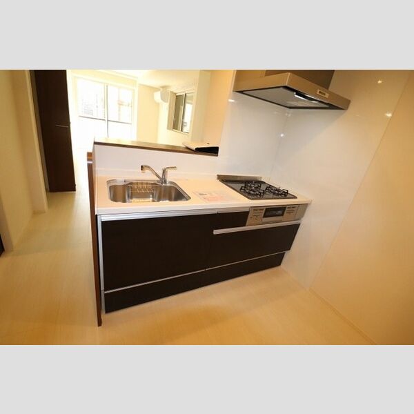 エクセレント ヒルズ401号室 システムキッチン
