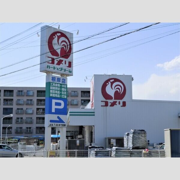 ラディーチェ ホームセンター(コメリ安行根岸店)