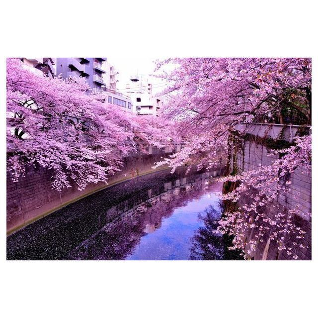 ひかりコーポ小日向202号室 近隣イメージ