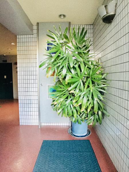 浅川マンション3階 エントランス