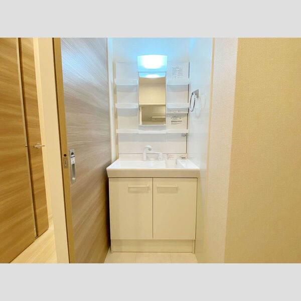 シンシア野沢 101号室洗面所