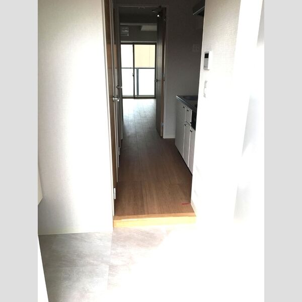 TRE LUCE横濱関内1003号室 玄関(シューズボックス)