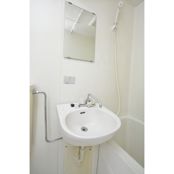 ヒルズガーデン東雪谷0301号室 洗面