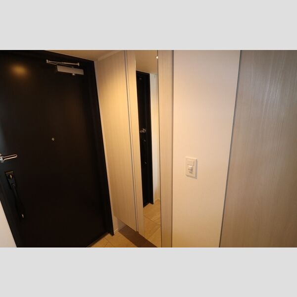 THE RejuvePort KISARAZU0802号室 玄関