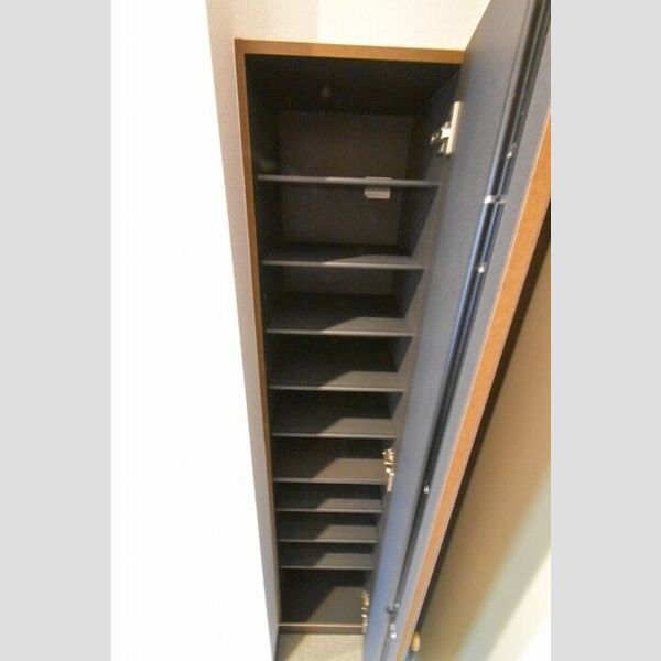 リビングタウン厚木301号室 シューズボックス