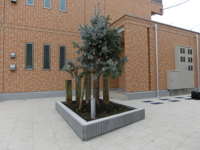 テラス妙蓮寺0302号室 その他