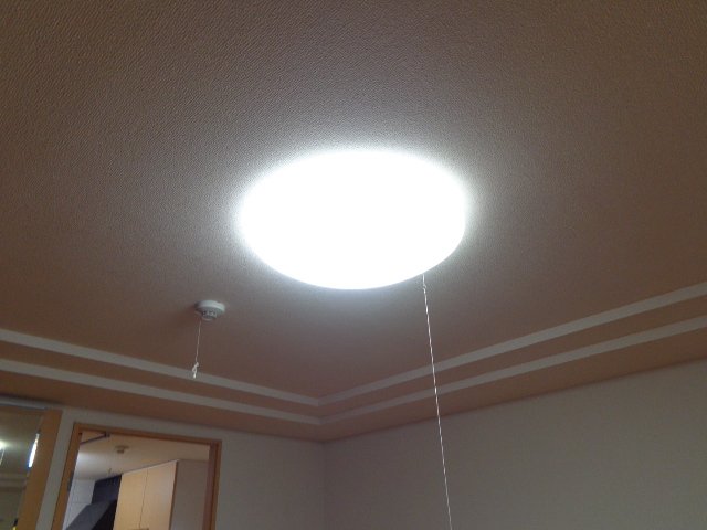 ベルローズ00102号室 照明