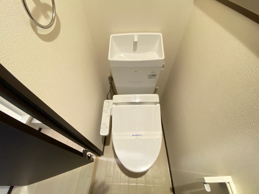 レオネクストアルストロメリア201号室 玄関