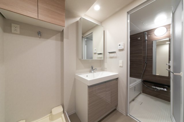 プラウドフラット西早稲田1001号室 洗面