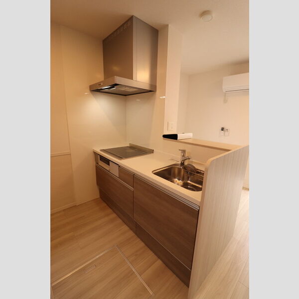ディール北浦和Ⅱ203号室 システムキッチン