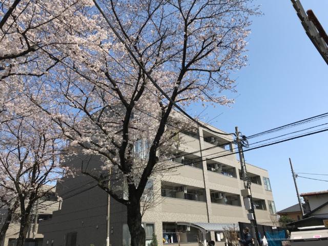 シルク南参道Ｒ 外観写真（昼）