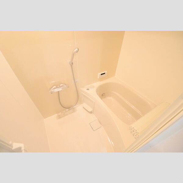 D Paina 中野島Ⅱ105号室 浴室