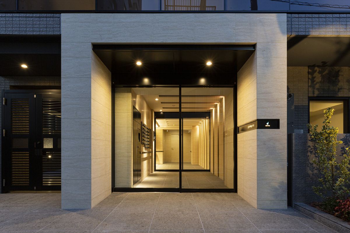 DIPS野方501号室 エントランス