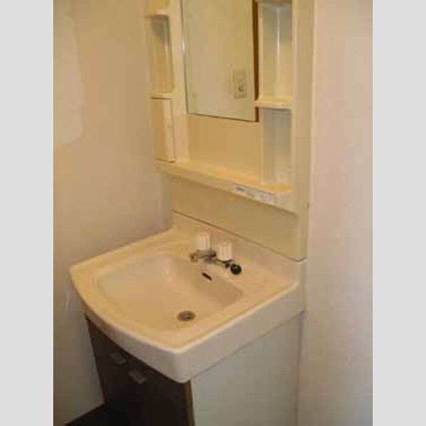 サニーガーデン202号室 洗面化粧台