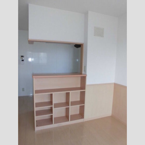 ウエストハウス202号室 対面カウンター収納