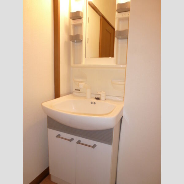 ジャーマンアイリス　Ⅱ102号室 洗面