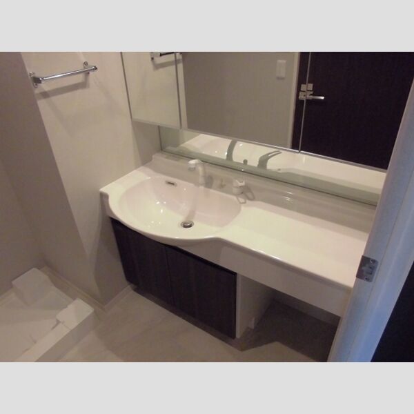 ポラリス菊川503号室 洗面化粧台