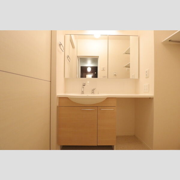 ラ シュエット103号室 洗髪洗面化粧台