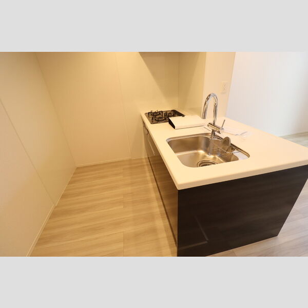 D-room弁天3丁目　B103号室 対面キッチン