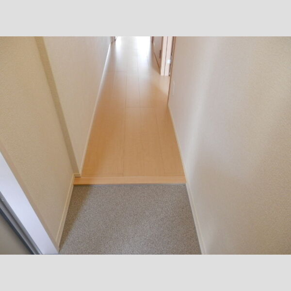 サンテラス市ヶ尾303号室 玄関