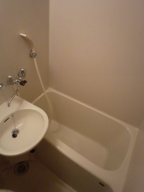 リベラ新丸子0203号室 お風呂