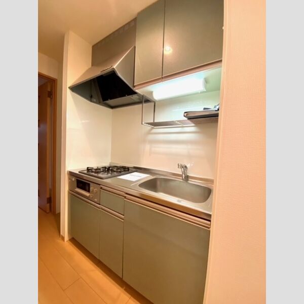 ロカ・パインハイツ 203号室システムキッチン