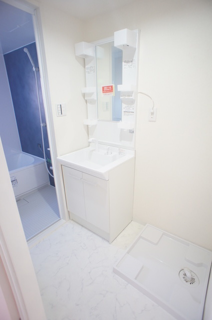 エクセルＤハイム0104号室 洗面